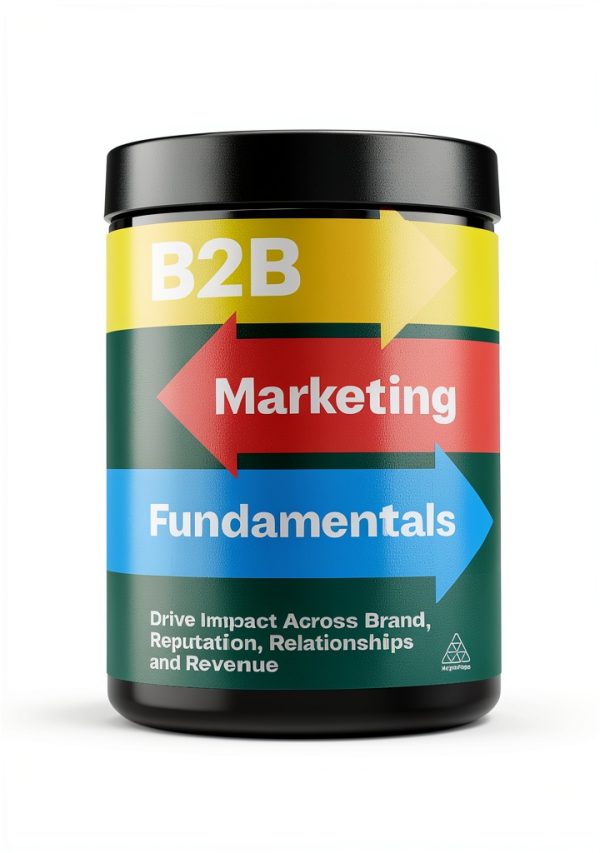 Industrial Marketing Strategies for Success by Kogan Page-0